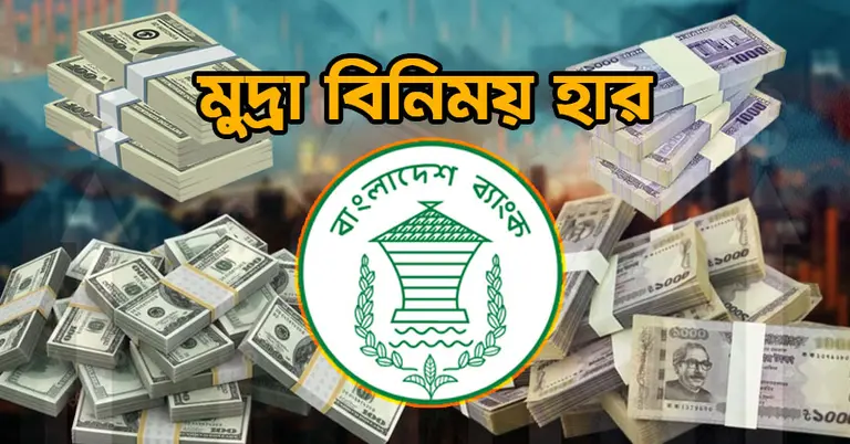 বৈশ্বিক টালমাটালে অস্থির ডলারের বাজার, কমল অন্যান্য মুদ্রার দর