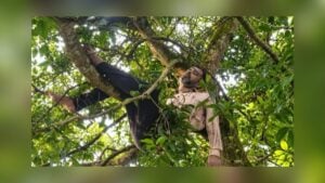 ব্যাংকে যাওয়ার পর নিখোঁজ, দুই দিন পর মিলল সাবেক সেনাসদস্যের মরদেহ