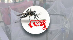 ২৪ ঘণ্টায় ডেঙ্গুতে ৯ জনের মৃত্যু, হাসপাতালে ১,৯০২