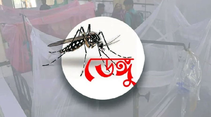 ২৪ ঘণ্টায় ডেঙ্গুতে ৯ জনের মৃত্যু, হাসপাতালে ১,৯০২ 3 ২৪ ঘণ্টায় ডেঙ্গুতে ৯ জনের মৃত্যু, হাসপাতালে ১,৯০২